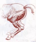 etpa-dessin-03.jpg